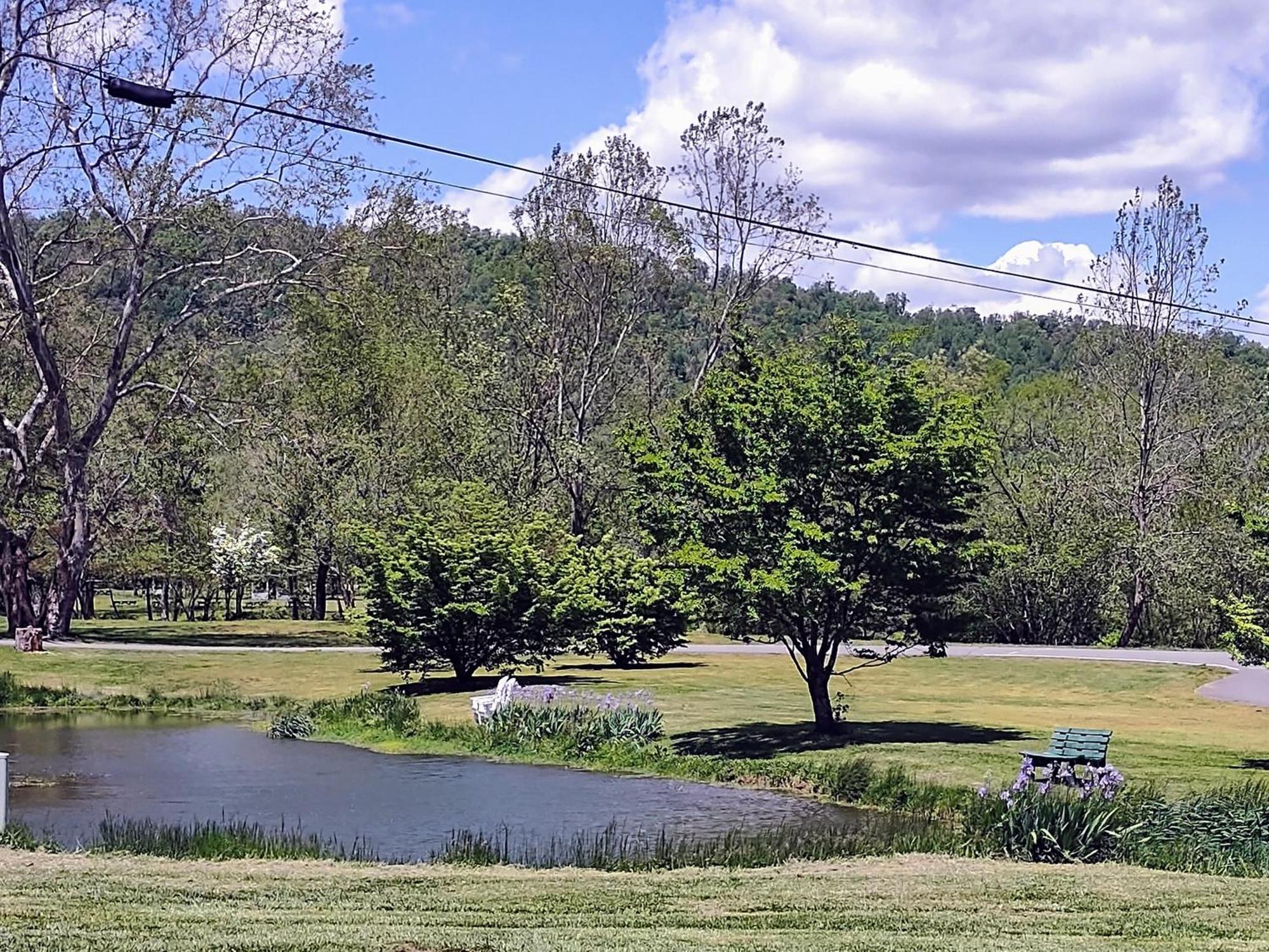 Graves Mountain Farm & * Syria