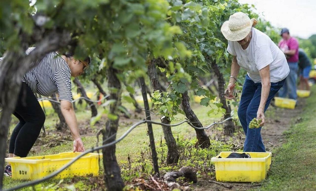 Graves Mountain Farm &